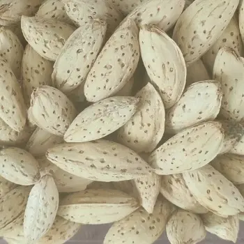 Natural Kagzi Almond